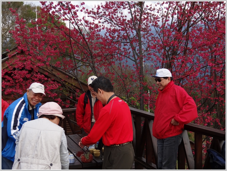 2012-02-06 16-57-39松林觀景台泡茶.JPG